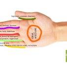 JIN SHIN JYUTSU: Exercitiul de 5 minute pe care il poti face cu mainile pentru a-ti echilibra tot organismul!