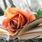 Miranda Cowley Heller: ”Să-ți pui întrebări e uneori mai important decât să găsești răspunsul corect la ele”