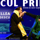 Micul Prinț, Dragi Părinți și Brastalico Fabadulu – spectacole în București, Timișoara, Craiova și Târgoviște