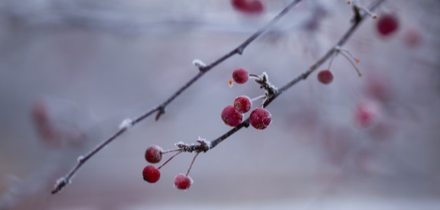 Ce iti transmite aceasta imagine?