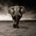 Atasament - Elefantul cu care traiesti, dar pe care nu poti sa il vezi  