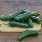 Jalapeno - tot ce trebuie să știi despre ardeiul picant mexican