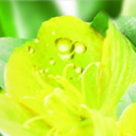 Redescopera frumusetea naturala cu Kneipp