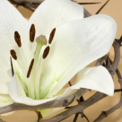 Cele 12 Vineri Mari: Afla ce zile de vineri de peste an trebuie 'tinute' pentru a-ti merge bine! 