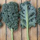 10 legume care sunt mai sanatoase decat varza Kale