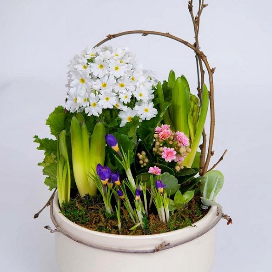 Primavara la ghiveci 