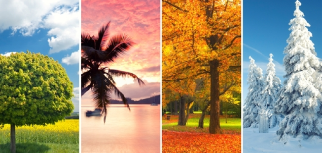 Care este anotimpul tau preferat?