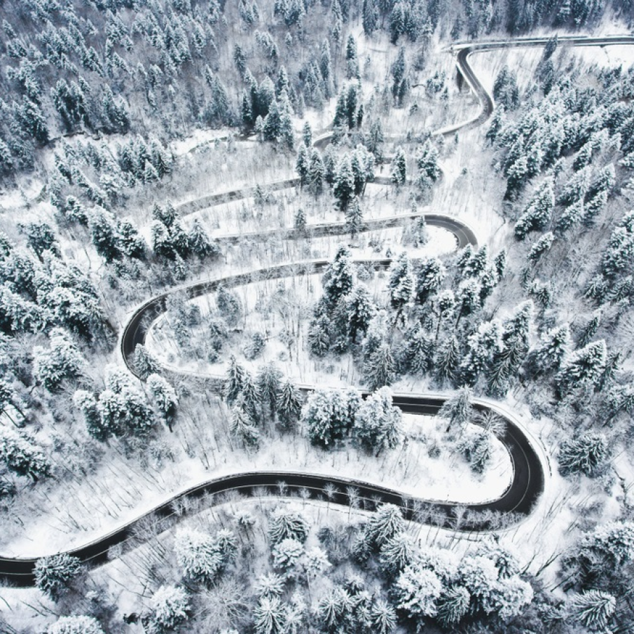 Serpentine în mijlocul unei păduri acoperite de zăpadă
