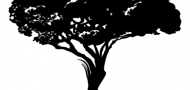 Ce vezi in imaginea de mai jos?