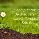 35 de Citate și Proverbe ZEN care îți readuc pacea în suflet și echilibrul în viață