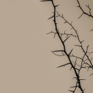 Sfântul Luca, doctorul fără de arginți: Toţi ne ieşim din fire când suntem jigniţi, dar aşa Se purta Hristos când îl vorbeau de rău?