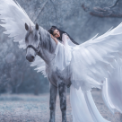 Semnificația viselor: Ce înseamnă când visezi cai?