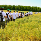 Hai să-i scoatem pe copii dintre pereții ăia!