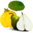 Gutuile si perele