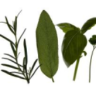 Farmacia din ghiveci: proprietatile medicinale ale mirodeniilor