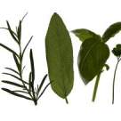 Farmacia din ghiveci: proprietatile medicinale ale mirodeniilor