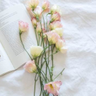 7 personaje din literatură cu nume de flori