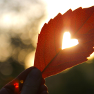 Un barbat a scris un mesaj secret pentru sotia sa…