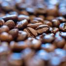 10 lucruri pe care nu le știai despre cafea