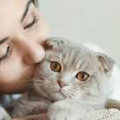 5 lucruri pe care trebuie să le știi înainte să îți iei o pisică