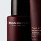 Sebastian Professional – o nouă identitatea globală
