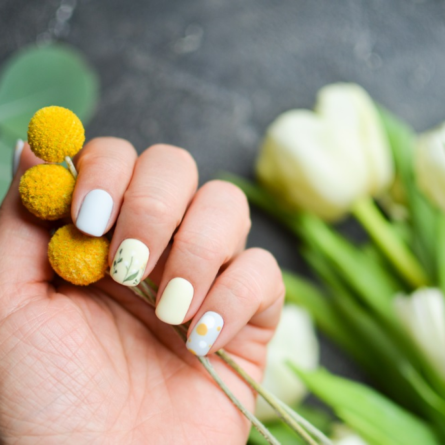 Lalele, lalele... frumoase ca visele mele 