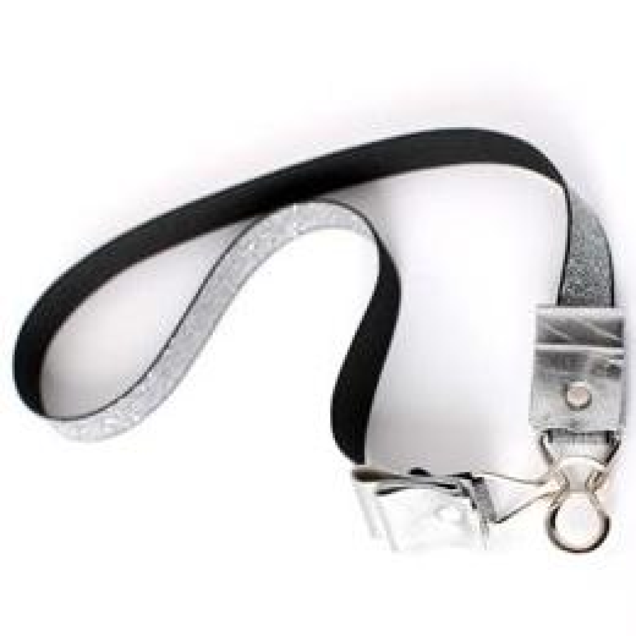 Curea argintie de la Sepala 