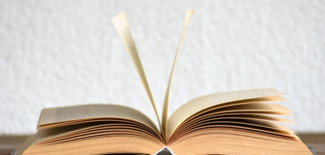 Ce cuvant e scris incorect in dictionar?