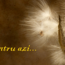 Merita sa il dai mai departe: DECALOGUL Papei Ioan al XXIII-lea!