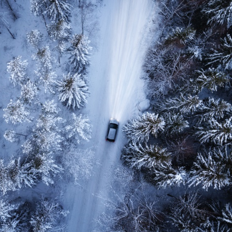 Drum prin inima pădurii în miez de iarnă 