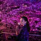 RITUALS TRANSFORMĂ EDIȚIA LIMITATĂ BESTSELLER THE RITUAL OF YOZAKURA ÎNTR-O COLECȚIE PERMANENTĂ