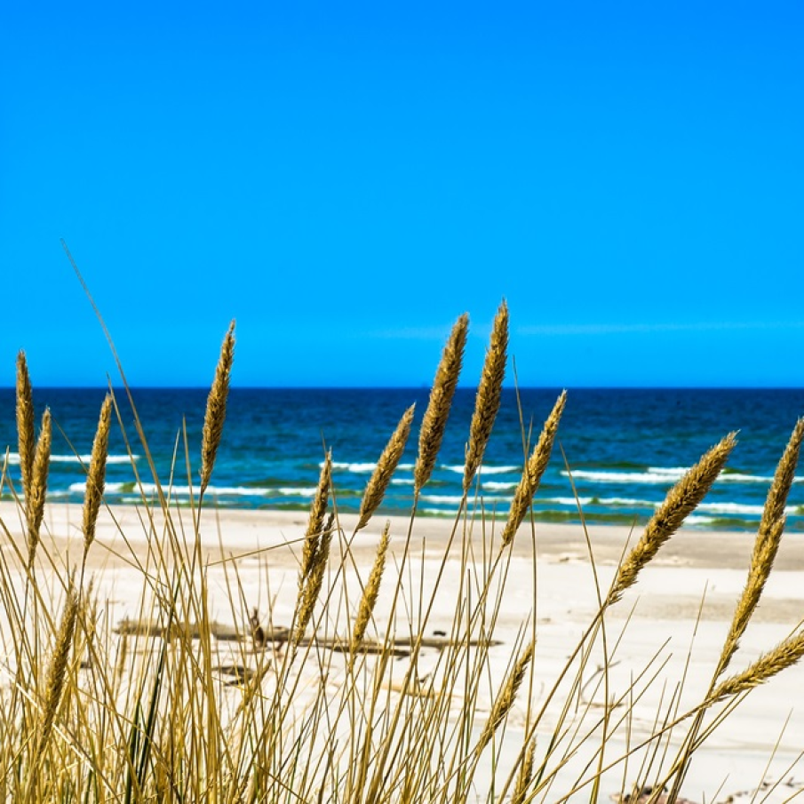 Plaja pustie, mare albastra... 